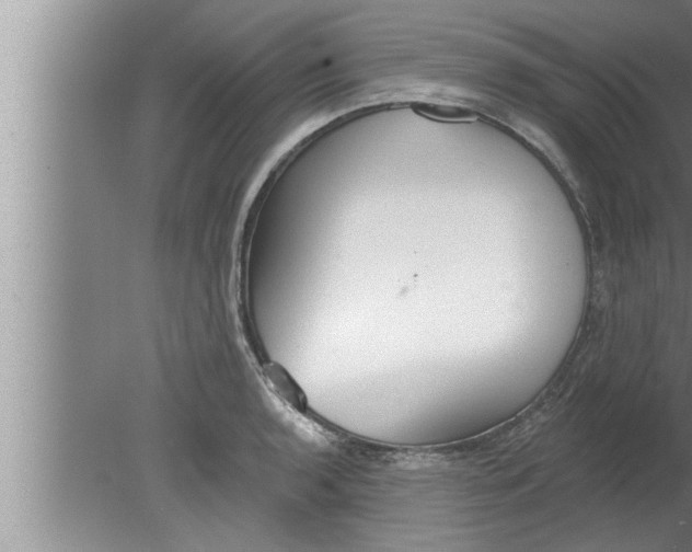 X0000080131136200612302029