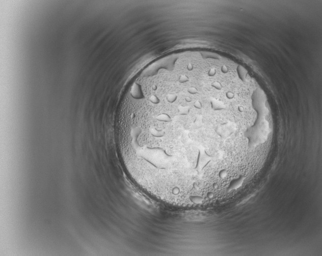 X0000080131137200612302029