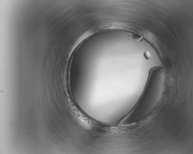 X0000080131138200612302029