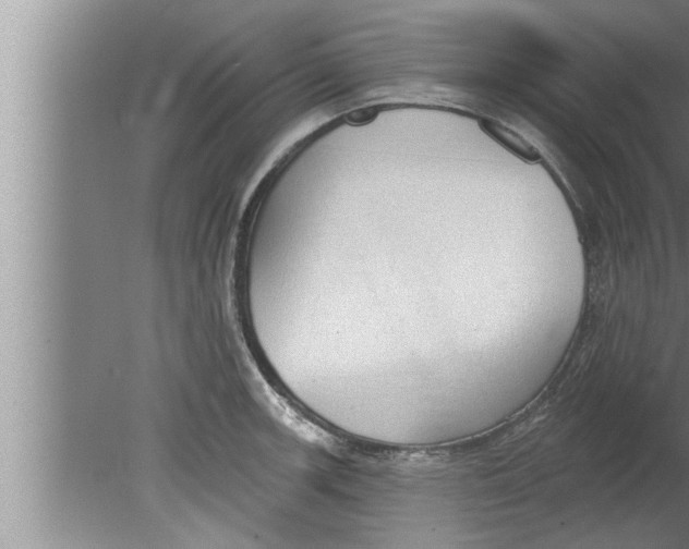 X0000080131139200612302029