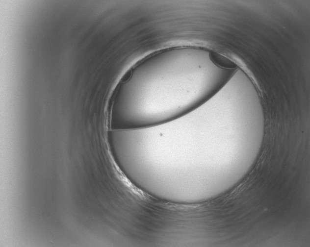 X0000080131140200612302029