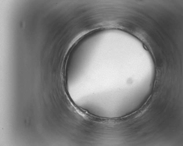 X0000080131141200612302029