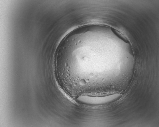 X0000080131142200612302029