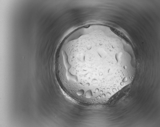 X0000080131143200612302029