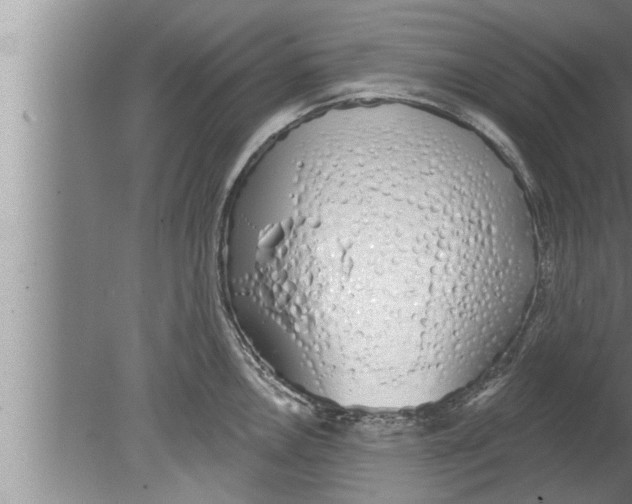 X0000080131146200612302029