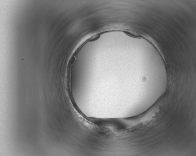 X0000080131147200612302029