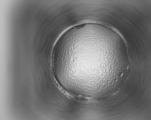 X0000080131148200612302029