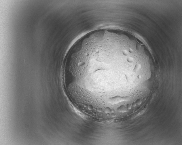 X0000080131149200612302029