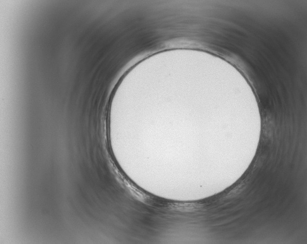 X0000080131150200612302029