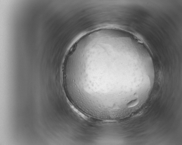 X0000080131151200612302029