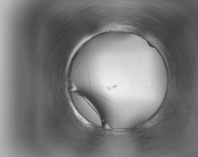 X0000080131152200612302029