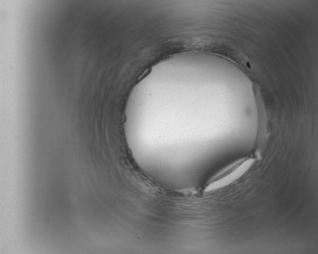 X0000080131153200612302029