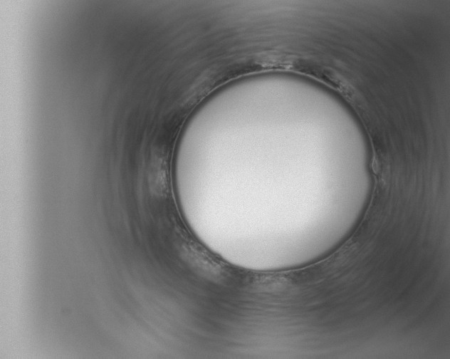 X0000080131154200612302029