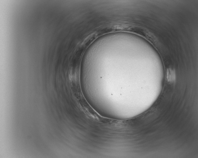 X0000080131155200612302029