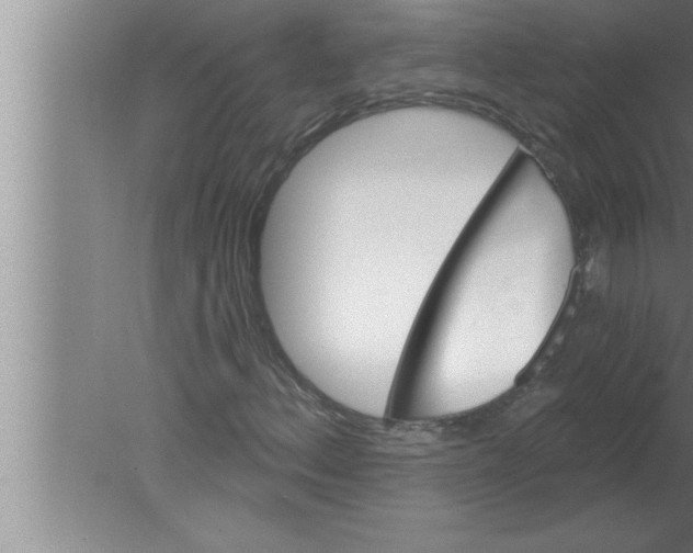 X0000080131156200612302029