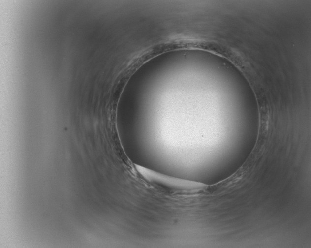 X0000080131157200612302029