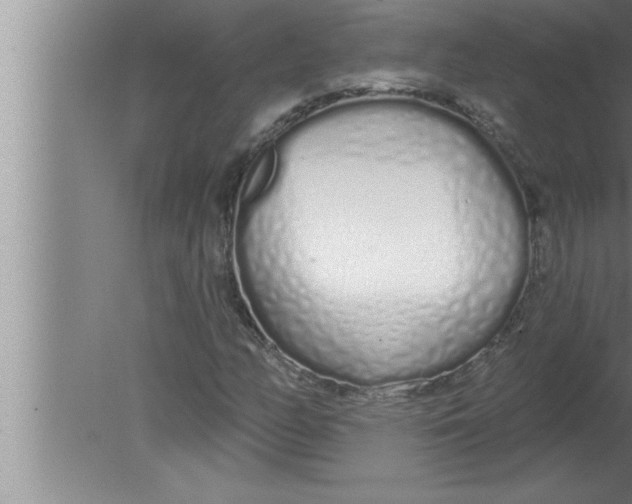 X0000080131158200612302028