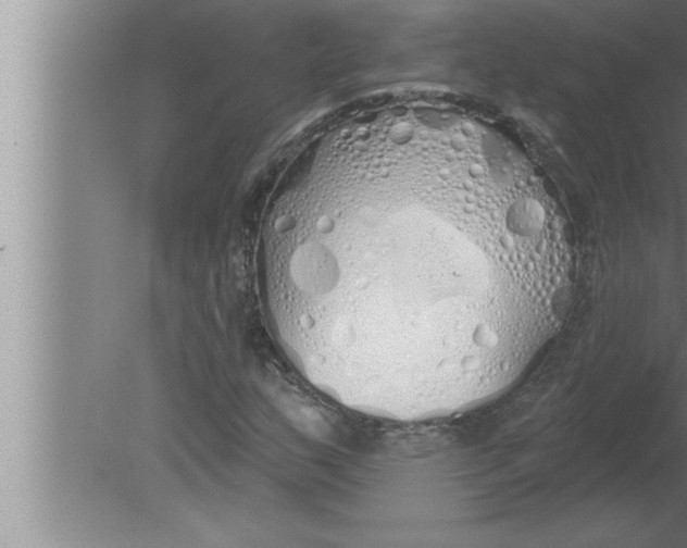 X0000080131159200612302028