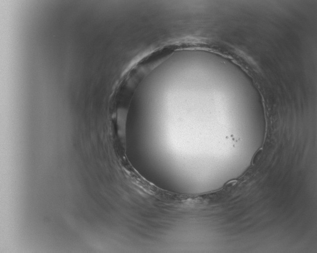 X0000080131160200612302028