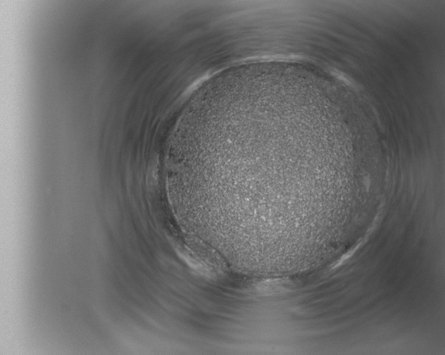 X0000080131161200612302028