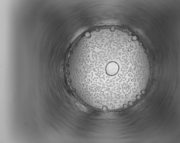 X0000080131162200612302028