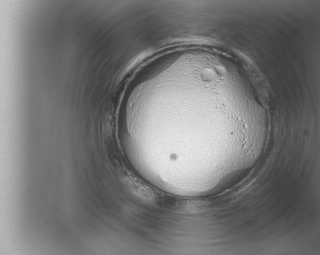 X0000080131163200612302028