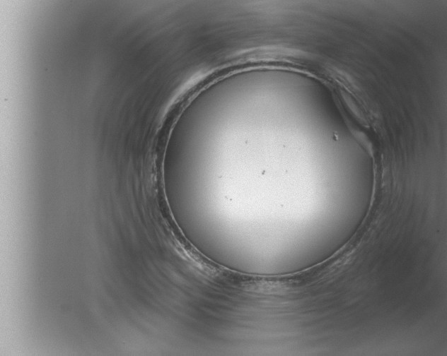 X0000080131164200612302028