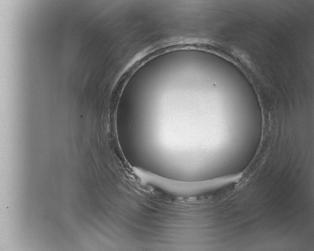 X0000080131165200612302028