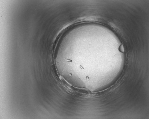 X0000080131166200612302028