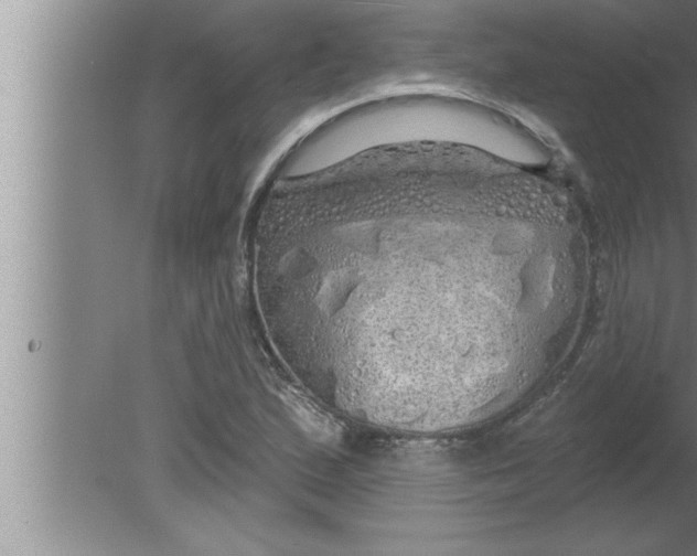 X0000080131167200612302028