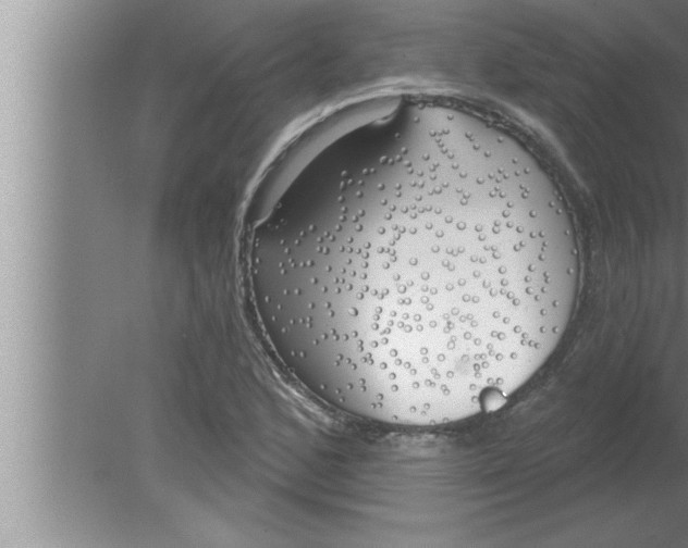 X0000080131168200612302028