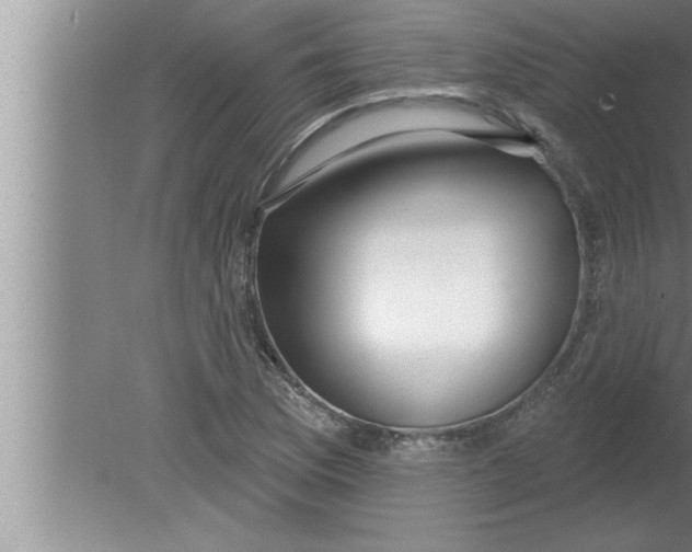 X0000080131169200612302028