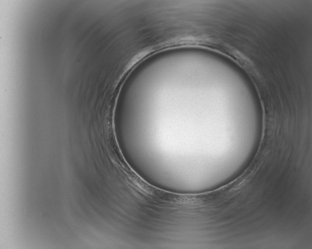 X0000080131170200612302028