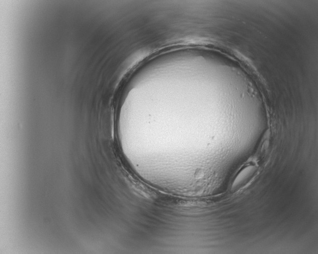 X0000080131171200612302028