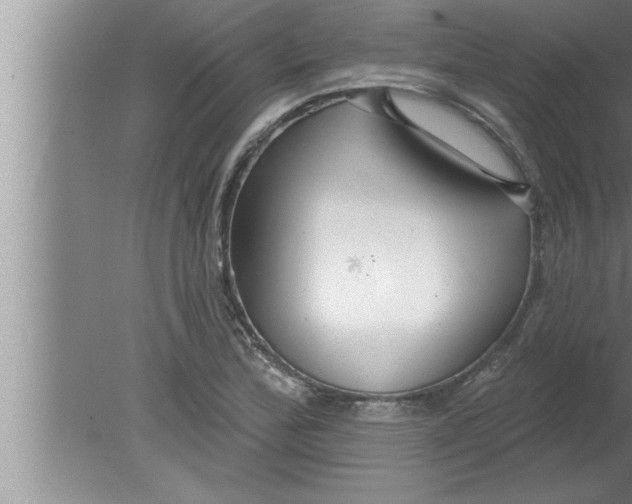 X0000080131172200612302028