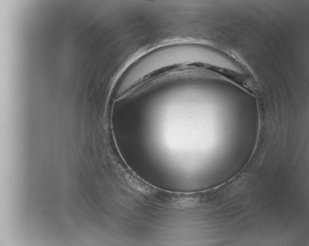 X0000080131173200612302028