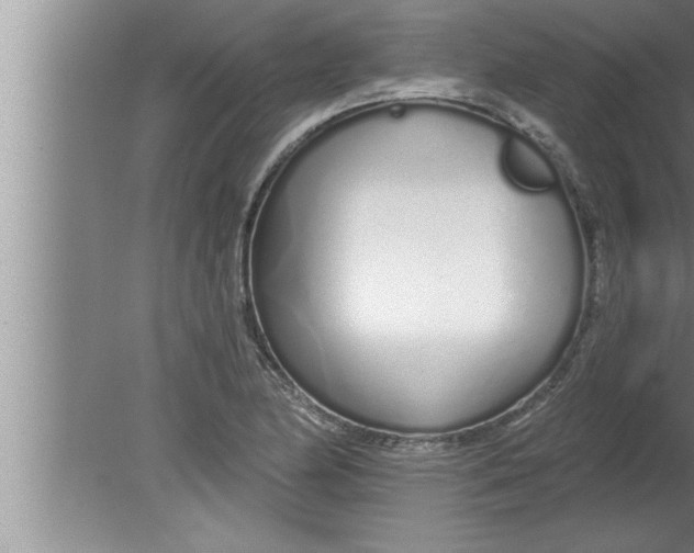 X0000080131174200612302028