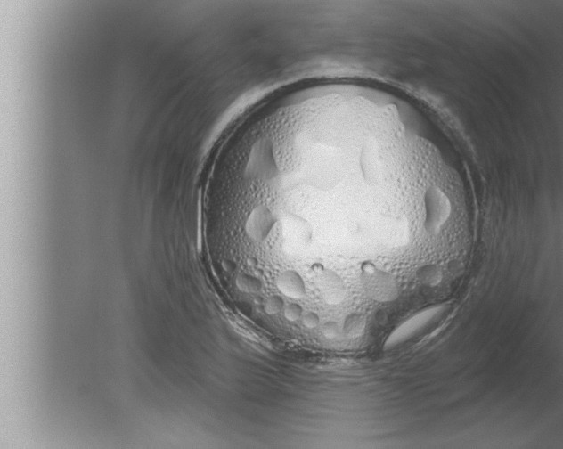 X0000080131175200612302028