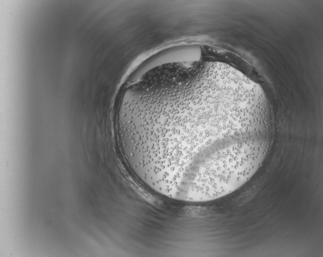 X0000080131176200612302028