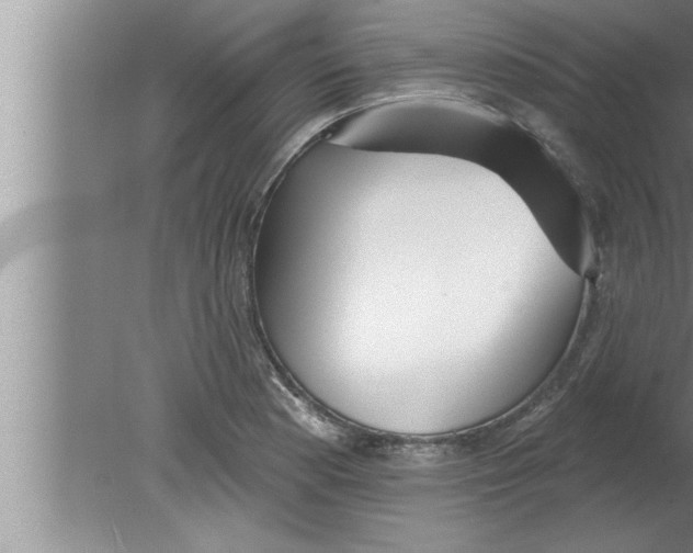 X0000080131177200612302028