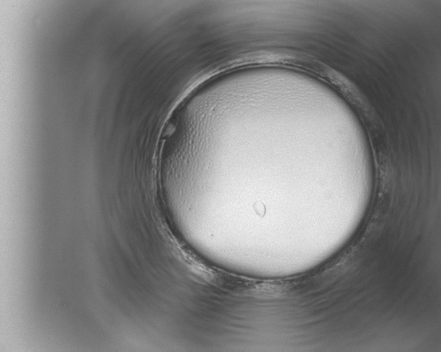 X0000080131178200612302028