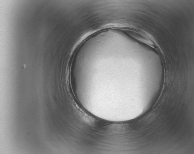 X0000080131179200612302028