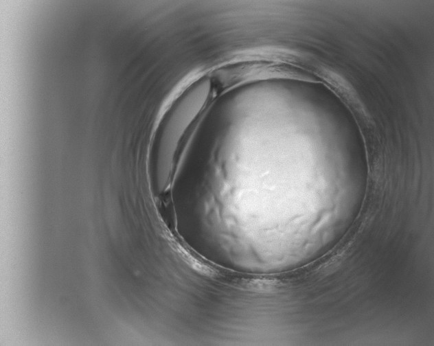 X0000080131180200612302028