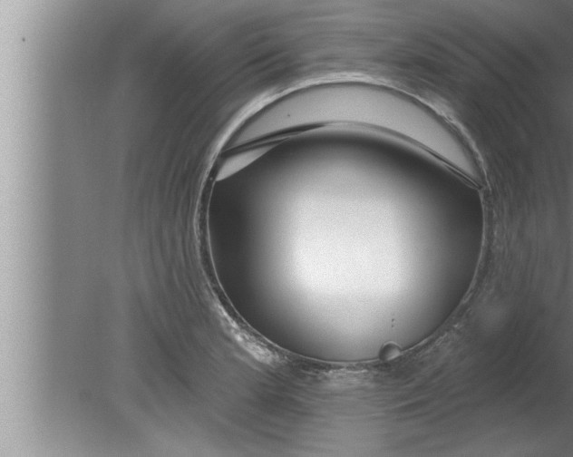 X0000080131181200612302028