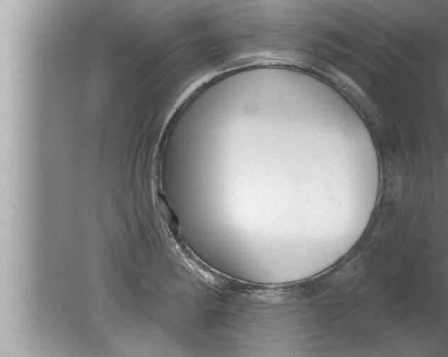 X0000080131182200612302028