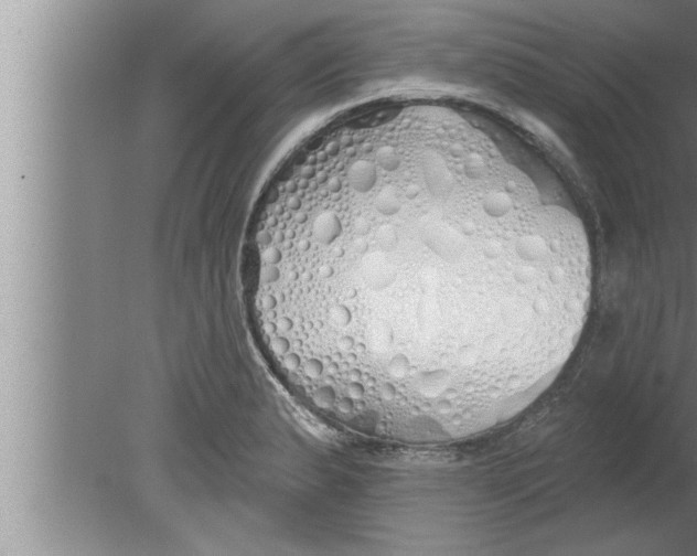 X0000080131183200612302028