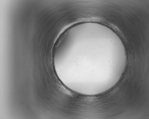 X0000080131184200612302028