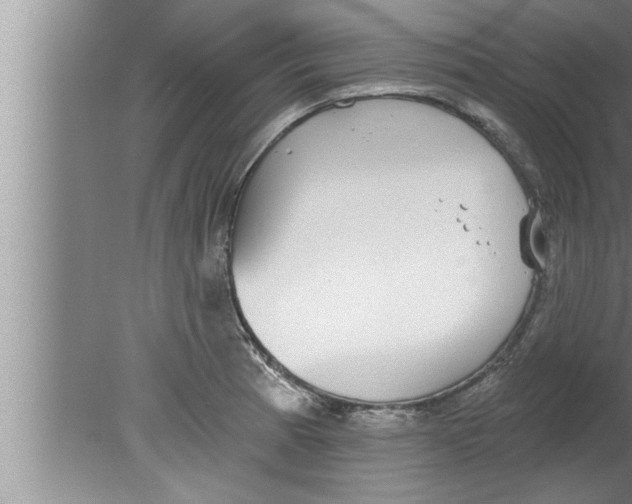 X0000080131185200612302028