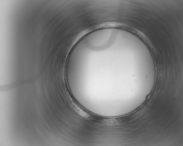 X0000080131186200612302028