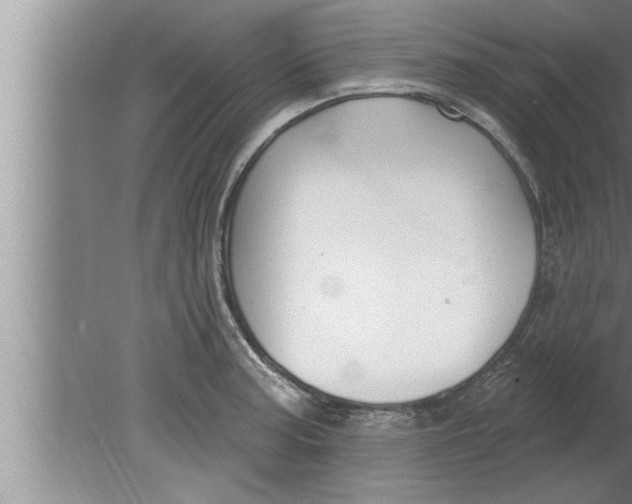 X0000080131187200612302028